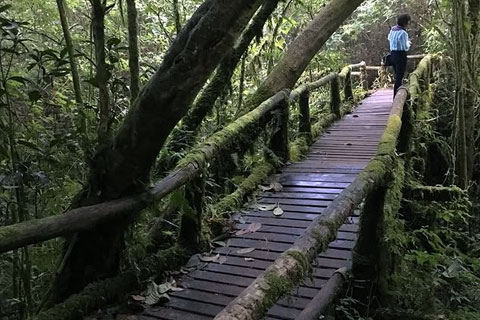 Chiang Mai lugares que ver