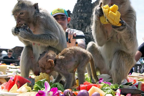 Cosas que hacer Lopburi