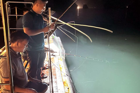Cruceros por Ha Long Bay