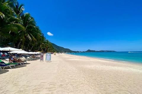 Dónde alojarse Samui