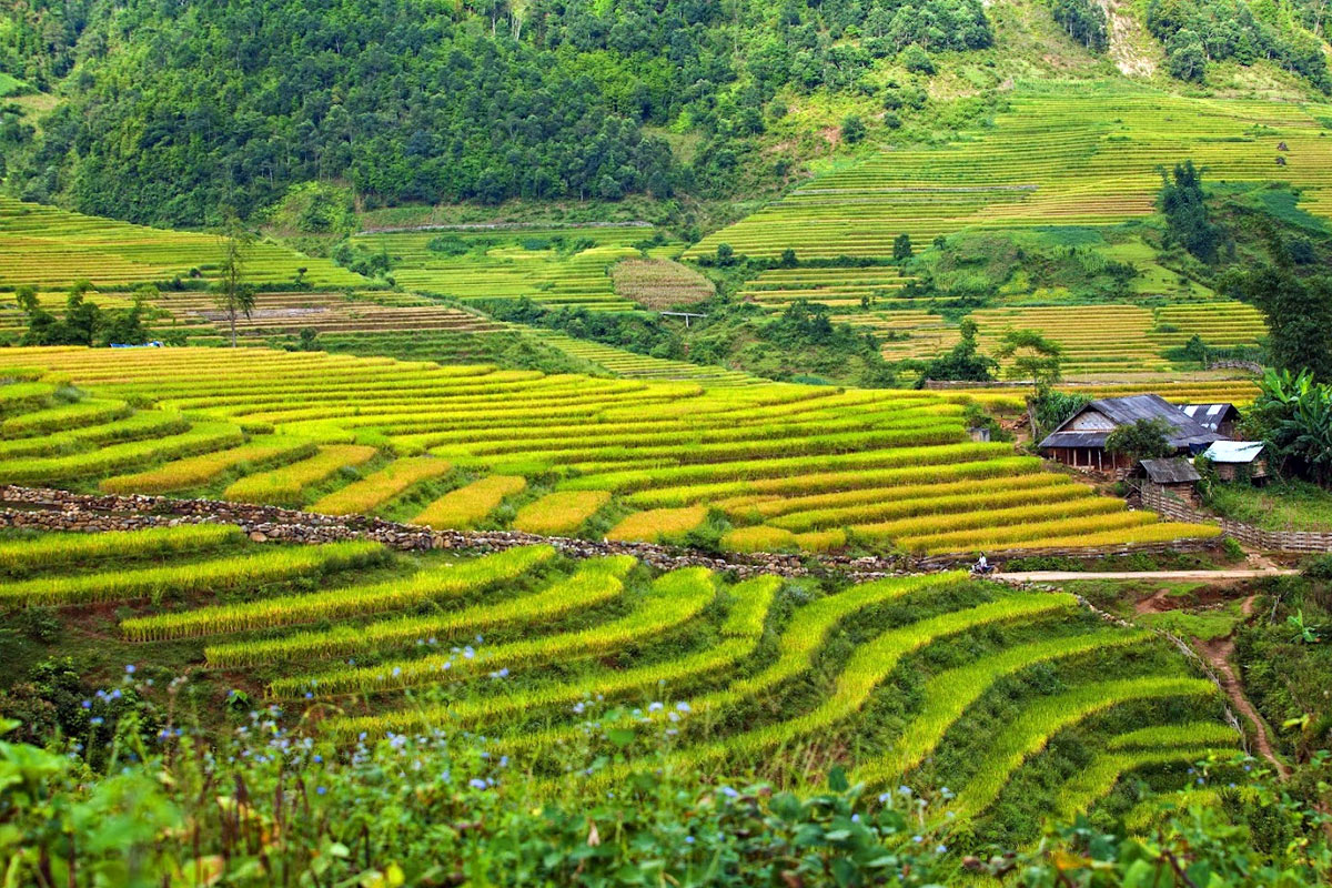 Guía para visitar Mai Chau