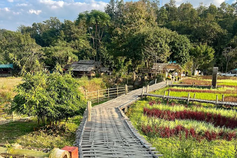 Itinerario Chiang Mai, Pay