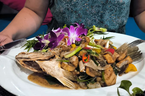 Koh Samui ¿Dónde comer?