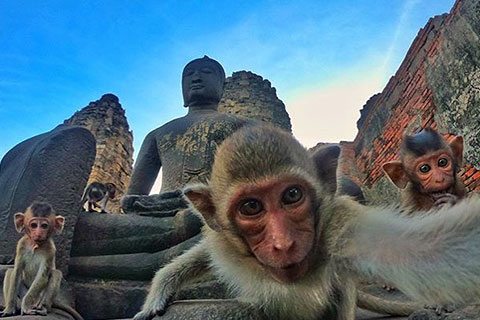Lugares que visitar en Lopburi