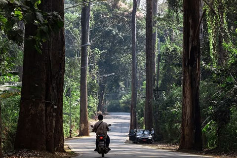 Mejores lugares que visitar Chiang Mai