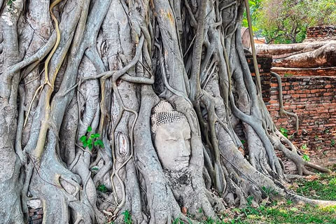 Qué visitar Ayutthaya