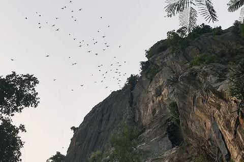 Qué visitar Lopburi