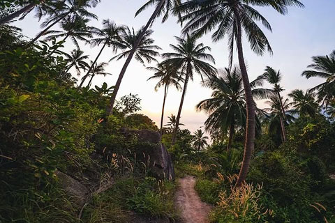Trekking Koh Tao