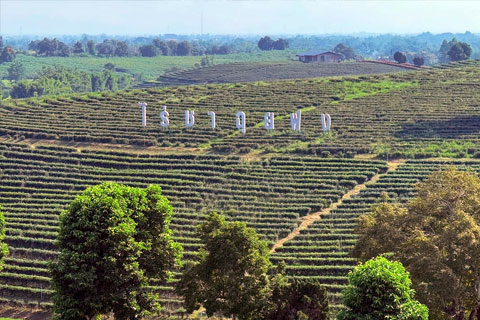 Viajar Chiang Rai